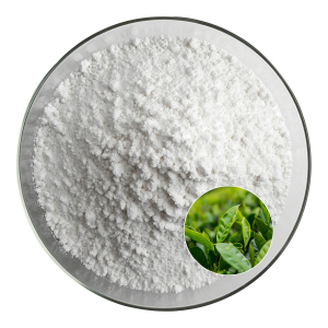 Epigallocatechin Gallate