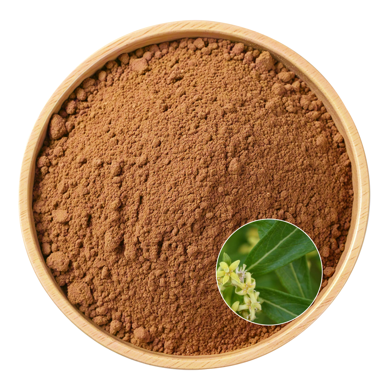Fadogia Agrestis Extract
