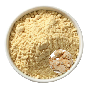 Panax Notoginseng Extract