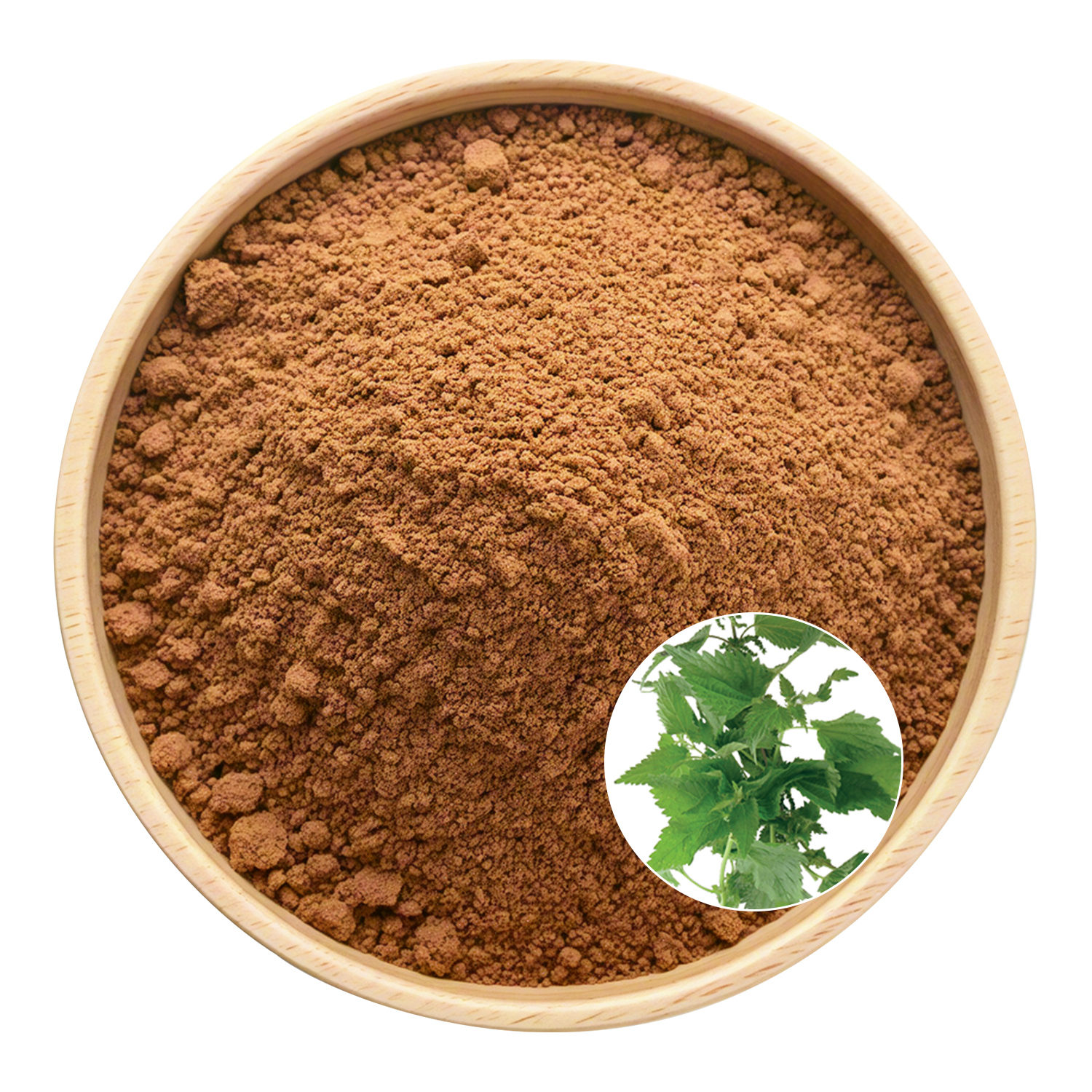 Nettle Root Extract