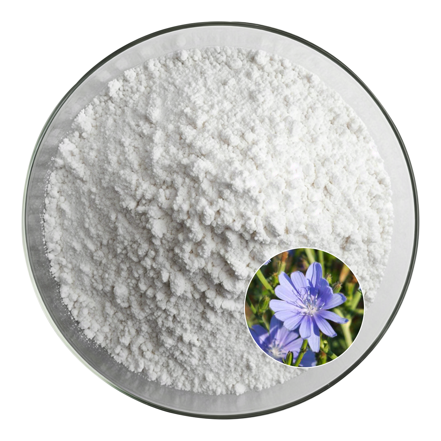 Inulin Powder