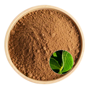 Vitex Extract Powder