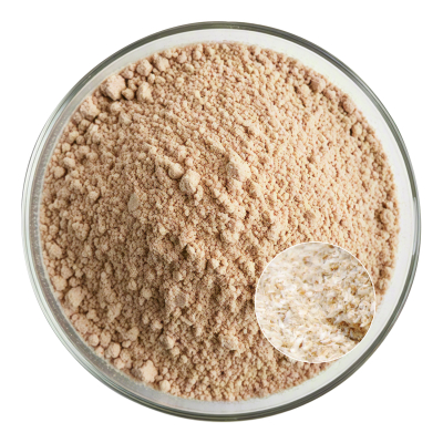 Psyllium Husk Extract