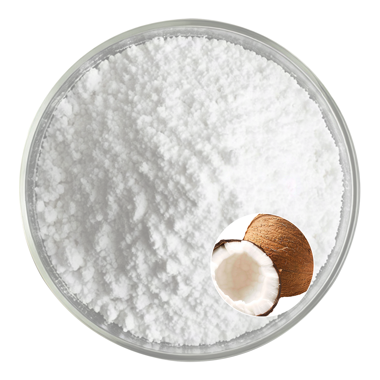 Coconut Milk Powder