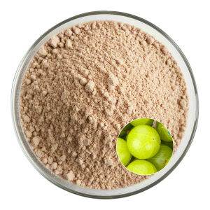 Amla Fruit Powder