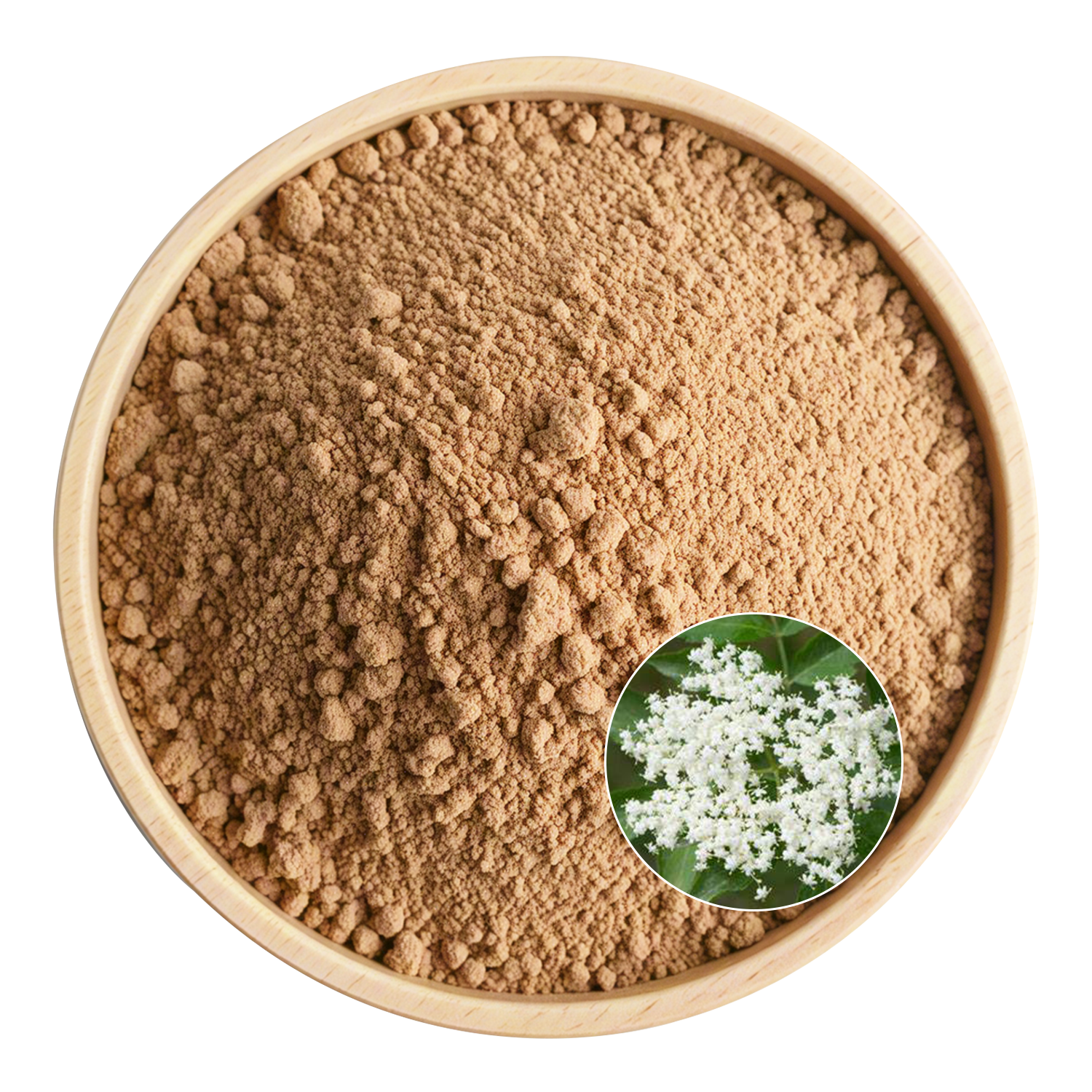 Black Elderberry Fruit Extract