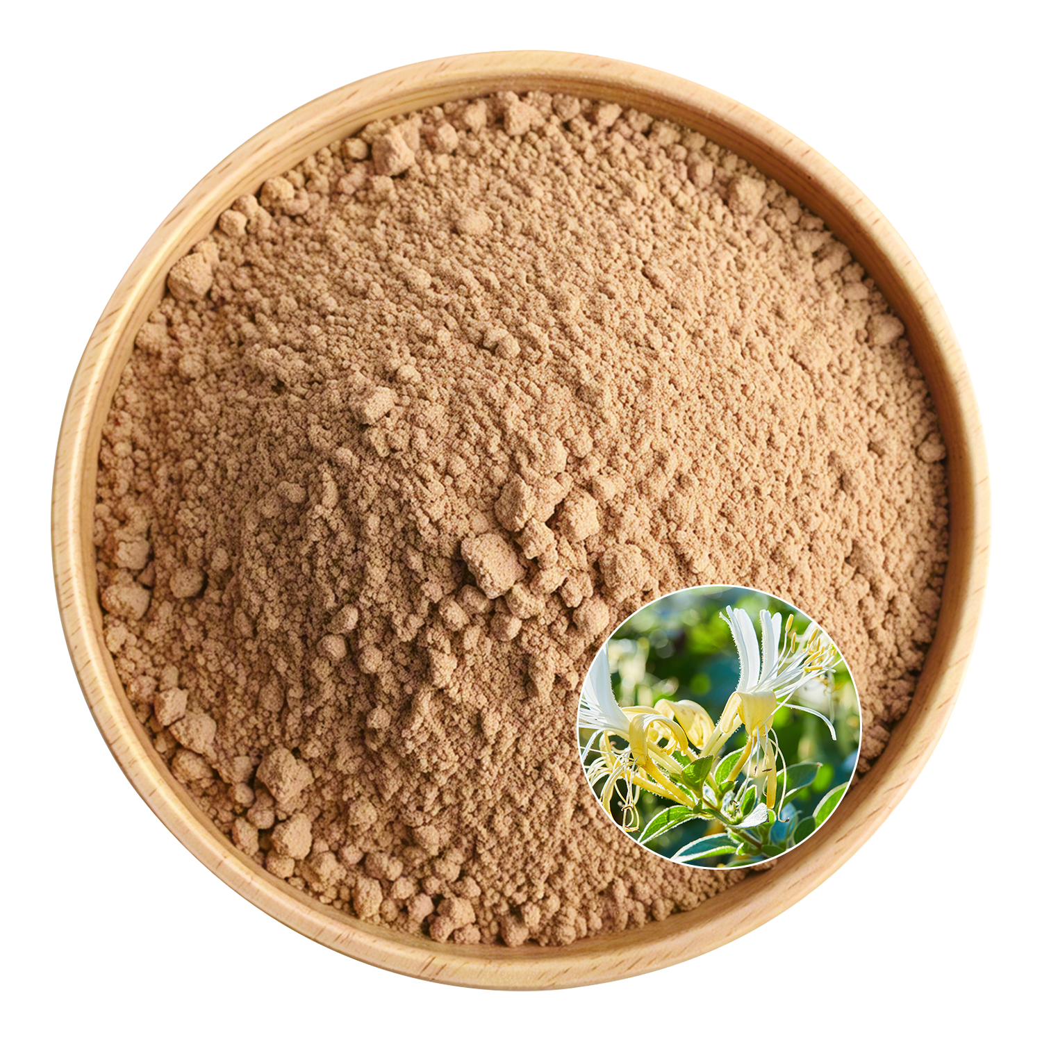 Honeysuckle Flower Extract