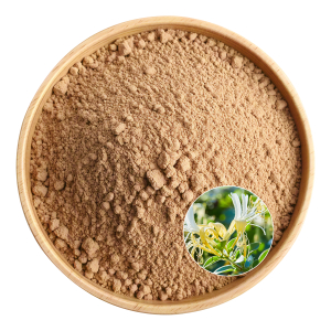 Honeysuckle Flower Extract