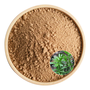 Huperzia Serrate Extract