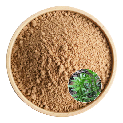 Huperzia Serrate Extract