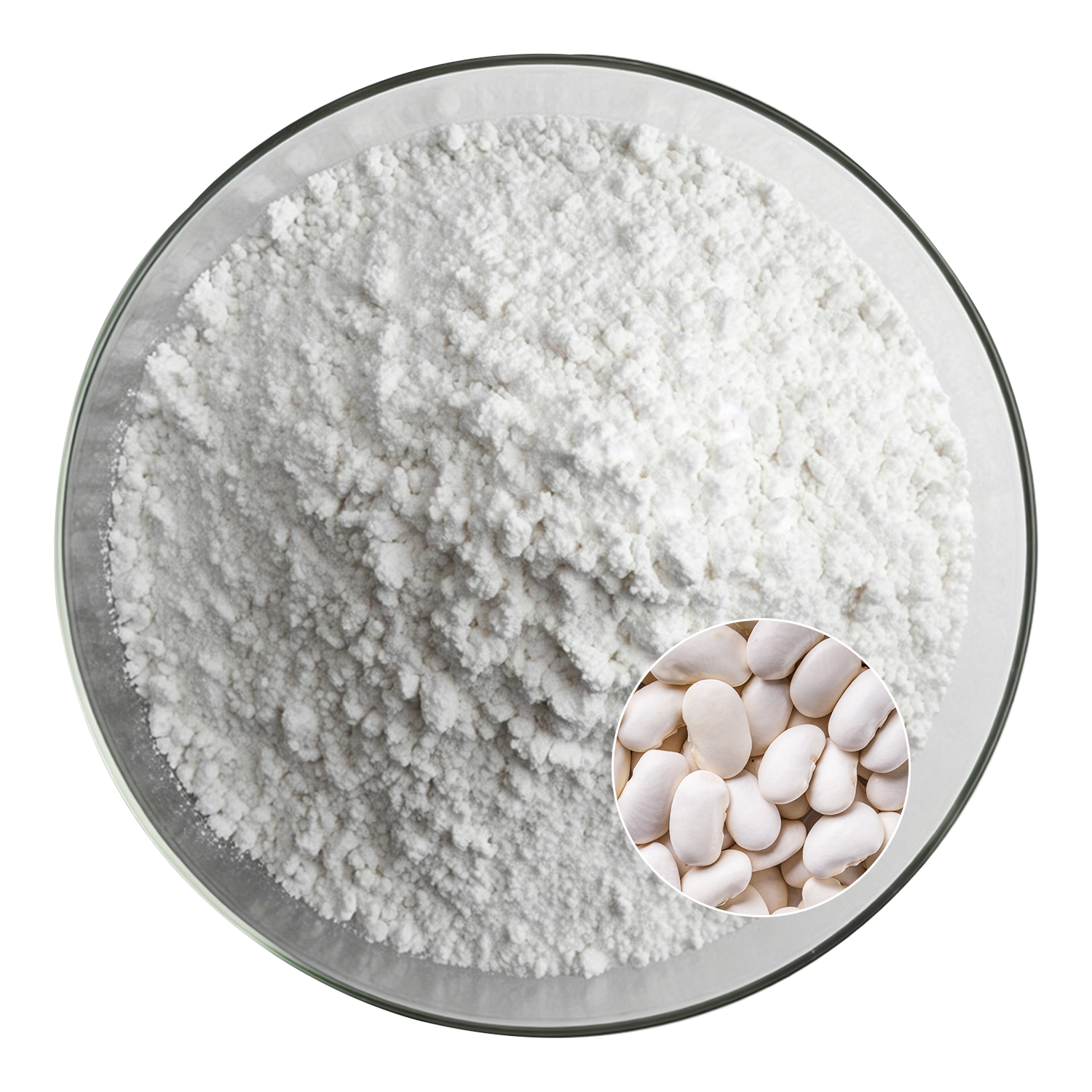 White Kidney Bean Extract