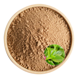 Andrographis extract