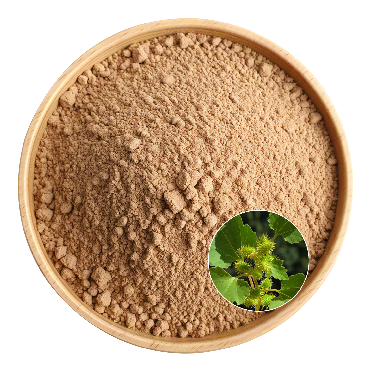 Tribulus Terrestris Extract