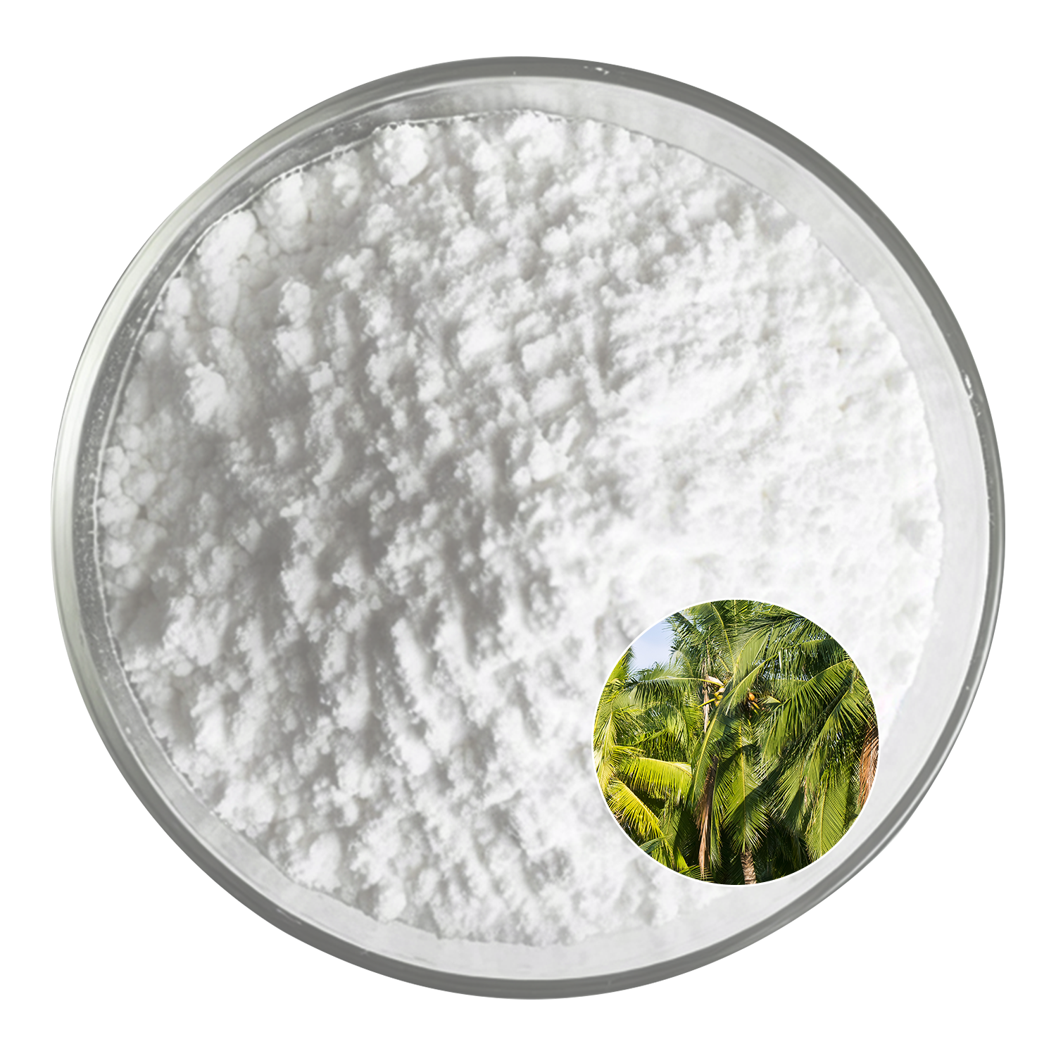 Saw Palmetto Extract