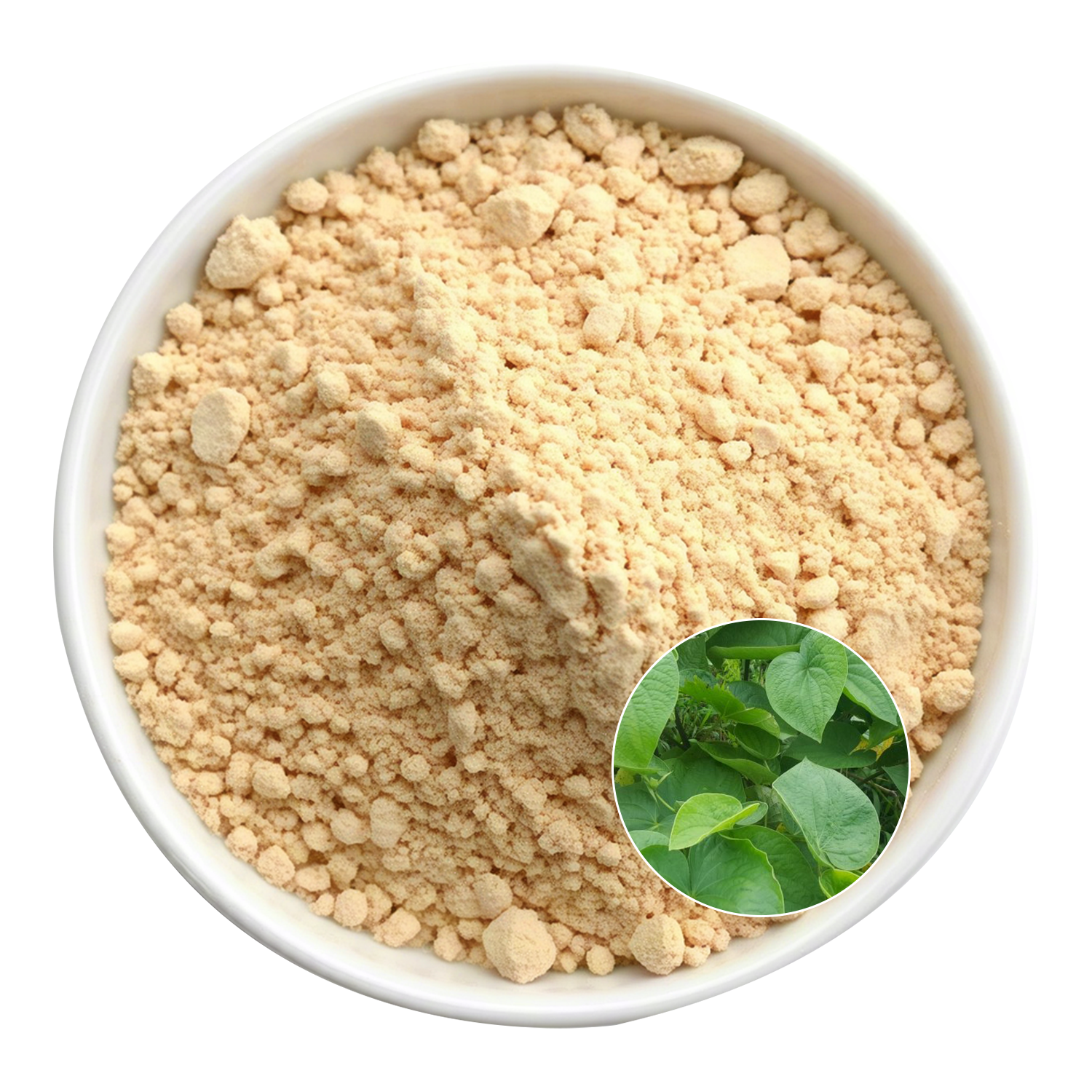 Kava Extract