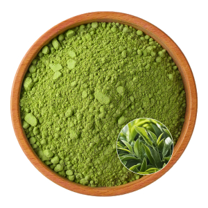 Green Tea Extract