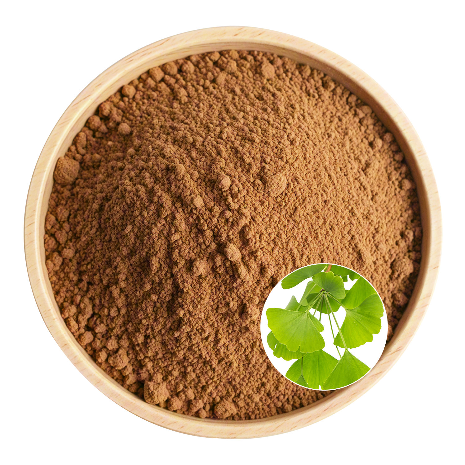 Ginkgo Biloba Extract