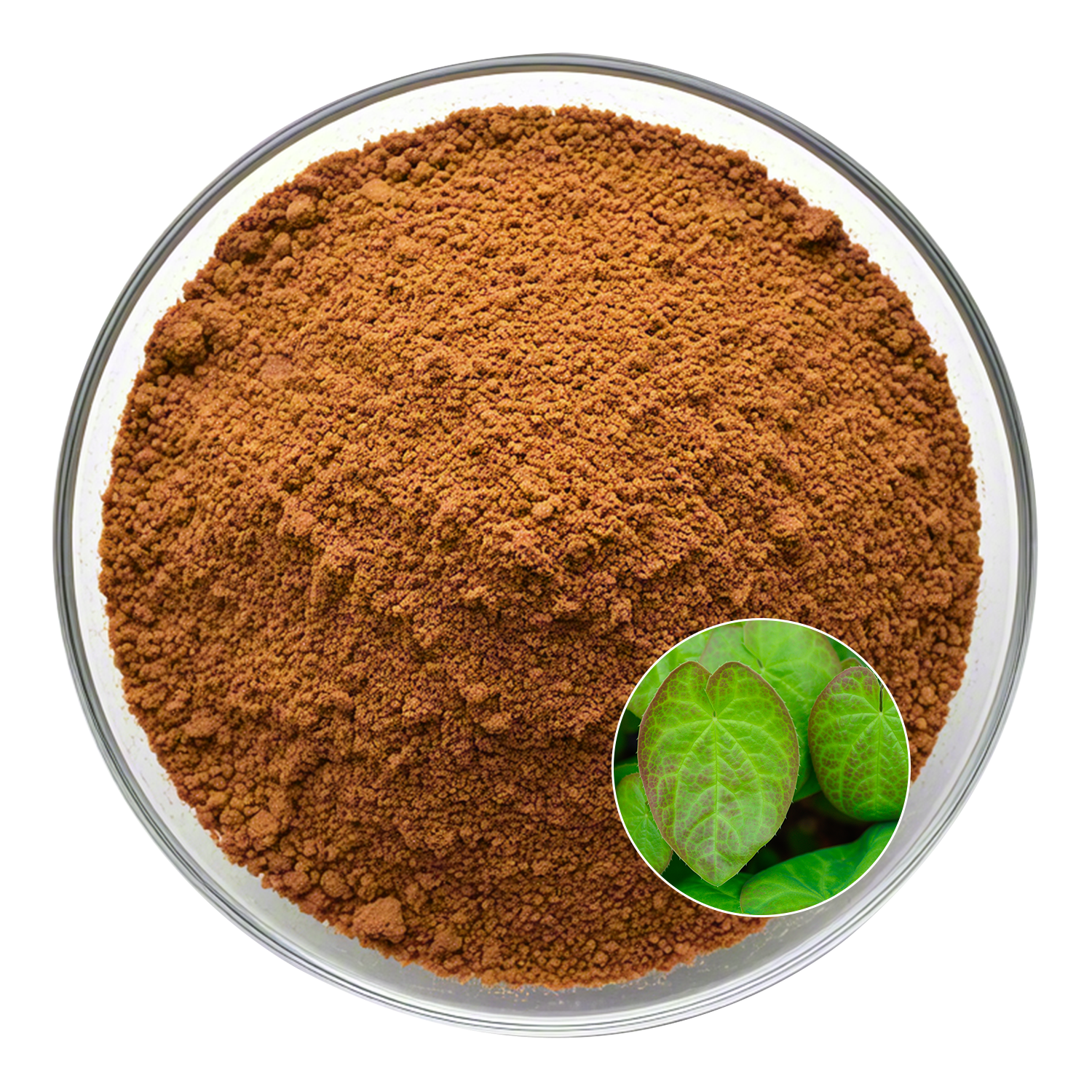 Epimedium Extract